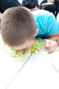 Green Week: How can you be Green?