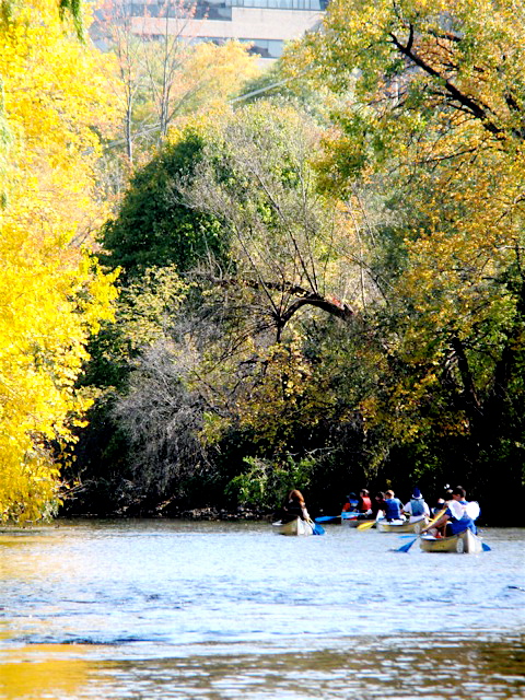 The CHS Ecology Club canoes down the Huron River 