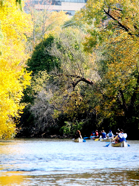 The+CHS+Ecology+Club+canoes+down+the+Huron+River+