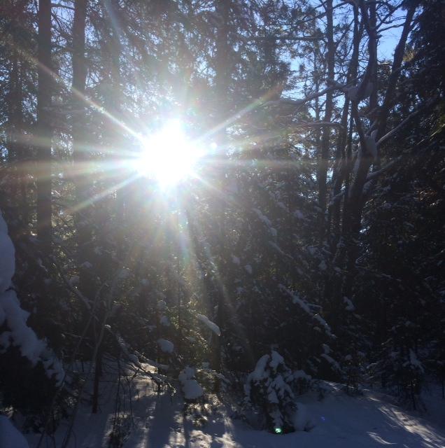 Does lack of sunshine cause Midwesterners to be less happy?