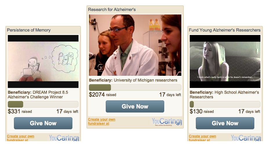 The fundraisers and their success as of June 3rd.
See here at: http://www.mircore.com/page/vote