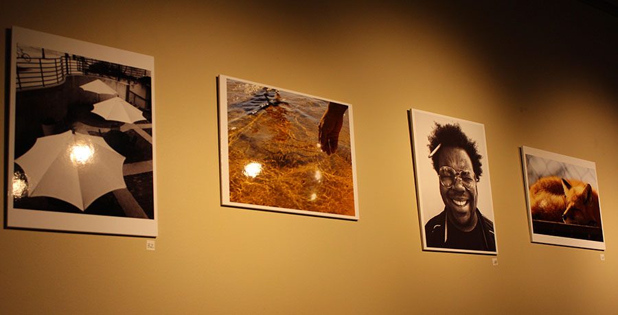 Some of the photographs featured in the gallery in Sweetwaters coffee shop. Photos taken by (from left to right) Jay Walker, Steve Coron, Makela Lynn and Caitlin Mahoney