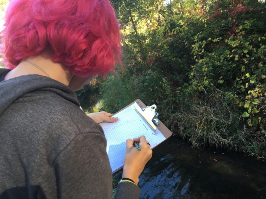 Each group was tasked with drawing a detailed sketch of their section of the river.