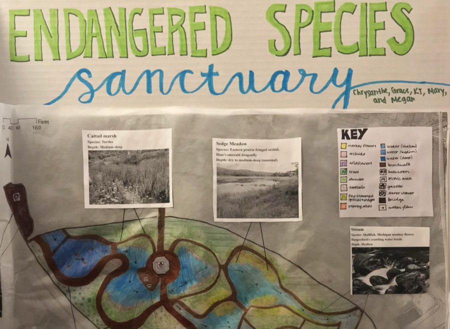 A+trifold+board+depicts+the+design+for+a+wetland+and+the+research+behind+it.+This+project+was+done+by+5+Community+High+School+students+in+their+Ecology+class%3B+Mary+DeBona%2C+Chrysanthe+Patselas%2C+KT+Meono%2C+Megan+Syer%2C+and+Grace+Jensen.+%E2%80%9CI+was+really+looking+for%2C+like+the+groups+that+are+going+to+get+the+highest+grades+are+the+groups+that+put+the+most+thought+into+it%2C+like+in+terms+of+research+like+if+their+goal+was+to+provide+habitat+for+endangered+species+for+example%2C+what+research+did+they+do%2C+are+they+native+species%2C+does+it+make+sense%2C+they+depth+of+research+and+that+thought+that+goes+into+it%2C+so+thoughtful+realistic+plans%2C%E2%80%9D+Courtney+Kiley+said.