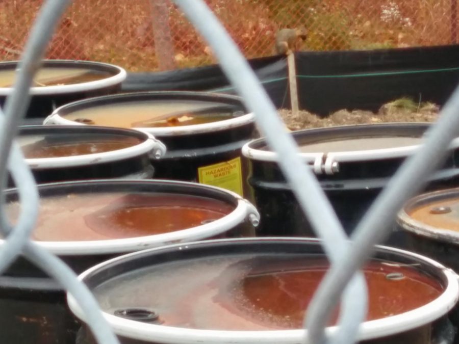 Toxic waste barrels, such as these ones are currently located at the Lowertown site. They probably contain material tainted with TCE.