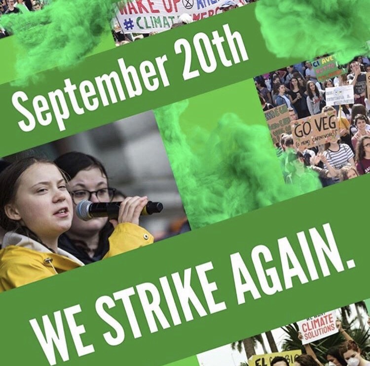 Global+Climate+Strike+comes+to+CHS