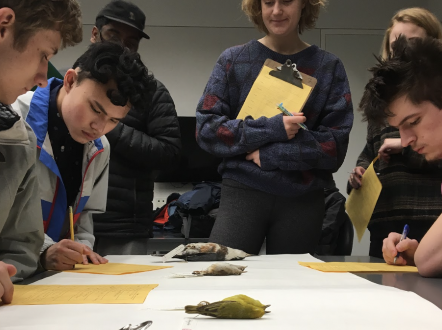 Ecology students take notes on the birds — theyd been warned not to touch them, as some of the birds may have had residual arsenic on them.
