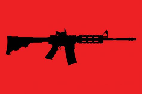 Rifles and responsibilities: Gun ownership in Ann Arbor