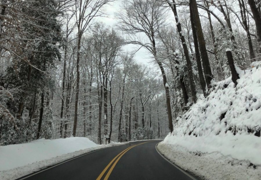 AAPS Announces First Virtual Snow Day