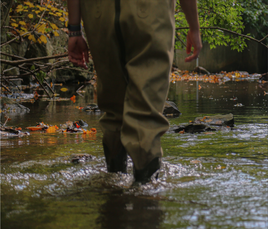 A student wades
through Traver
Creek for the annual FOS I benthic unit.
Current sophomores
missed out on this
trip last year. “For
FOS I, one of the
cool things about
doing [the field trip
to Traver Creek] is
the fact that you’re
actually out there
doing real science
out in the field,”
West said. 