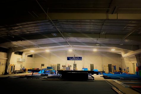 Sexual Abuse in Gymnastics