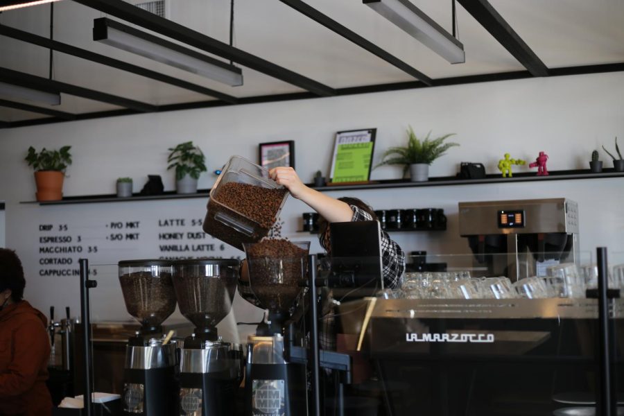 A barista pours coffee beans imported from 
Honduras into a state-of-the-art coffee machine. Head coffee roaster Adam Rizzo likes to keep up the versatility of his coffee flavors. 