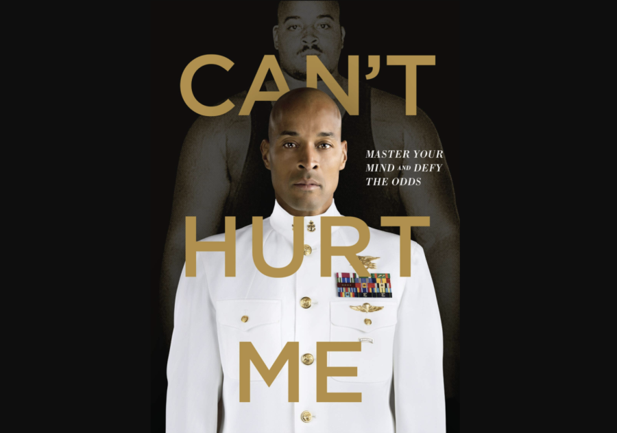 Cant Hurt Me Review