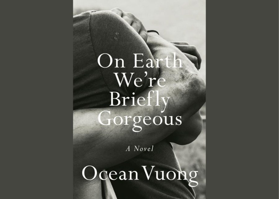 “On Earth We’re Briefly Gorgeous” Review