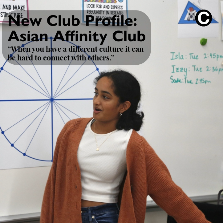 New Club Profile: Asian Affinity Association