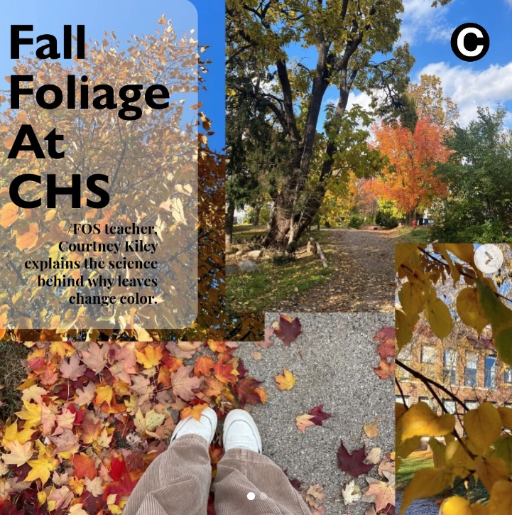 Kiley Explains Fall Foliage