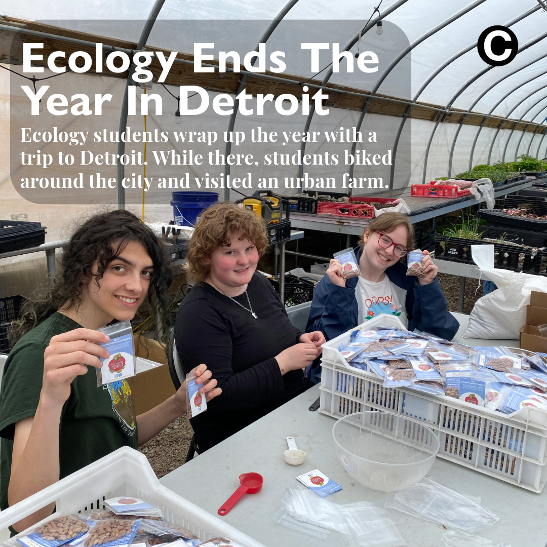 Ecology Ends The Year In Detroit