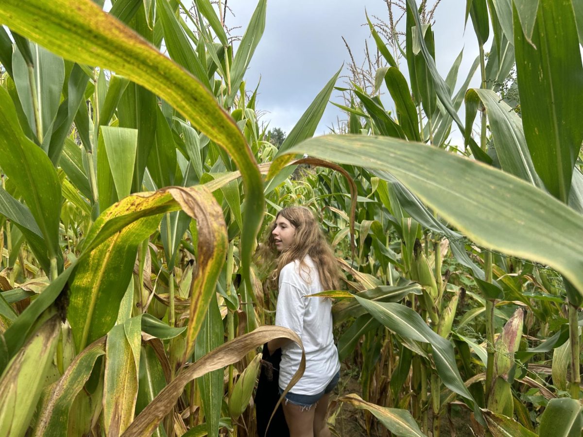 September - Emma Zeller takes her own path through the corn maze at Wiard’s Orchard, hoping to find the exit. On Sept. 29, the Eldon Forum took their first forum day trip of the year and immersed themselves in all things fall. “I like that we’re doing a fall-themed activity this year,” Zeller said. “It was fun finding all the random tunnels in the corn maze.”