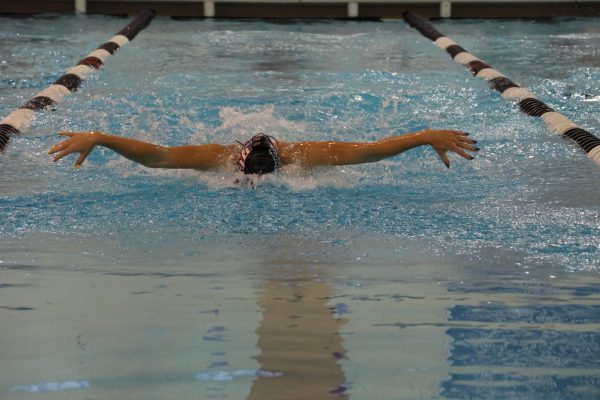 Ava Griffith swimming the 100 butterfly.