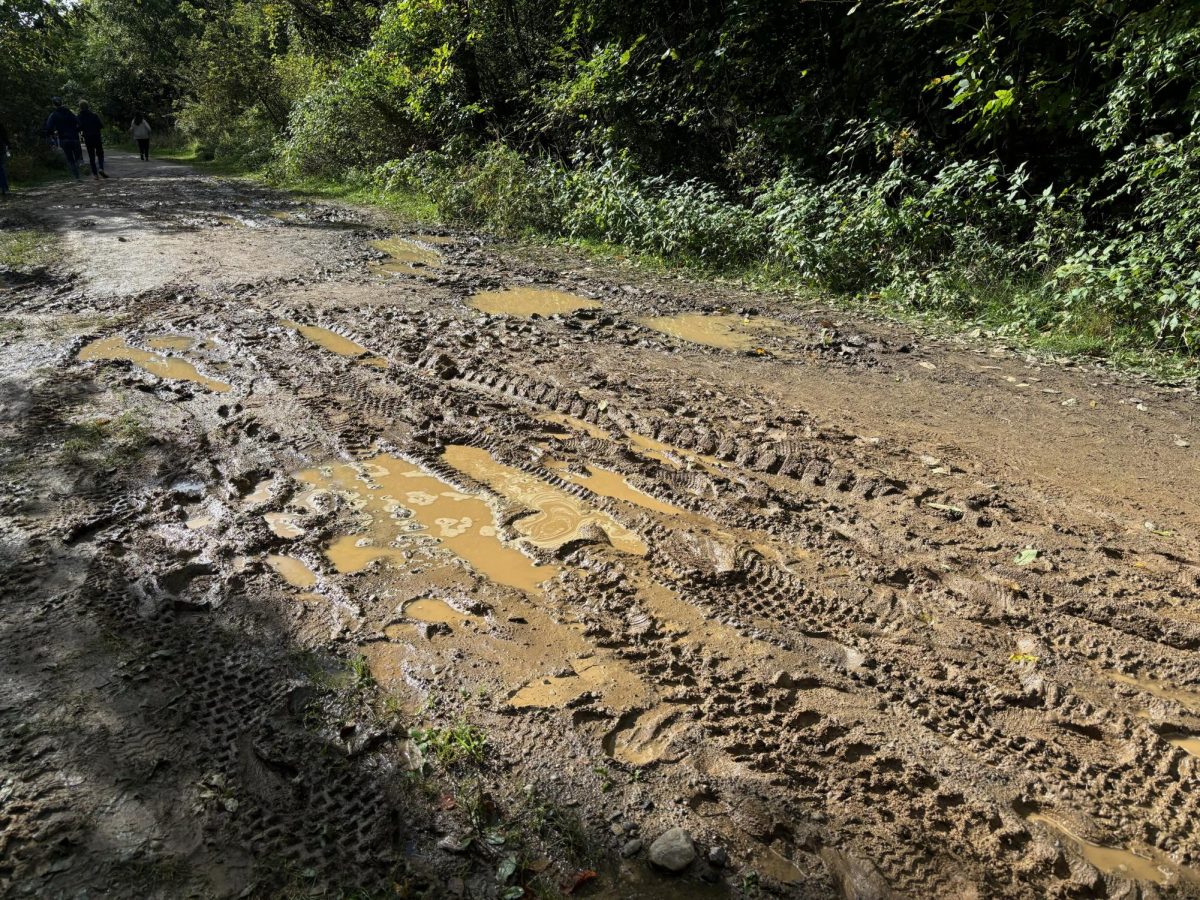 A trampled path reveals the muddy footprints of hundreds of runners and spectators.