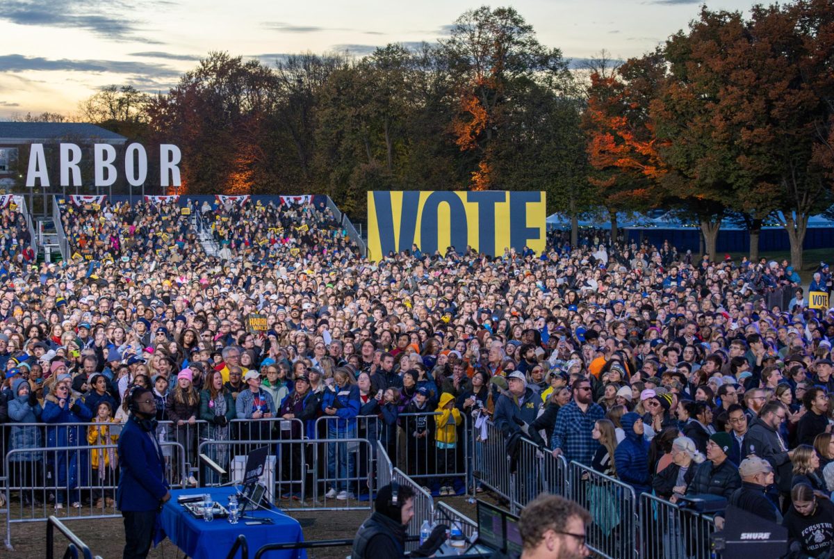 Spectators await Maggie Rogers' performance
