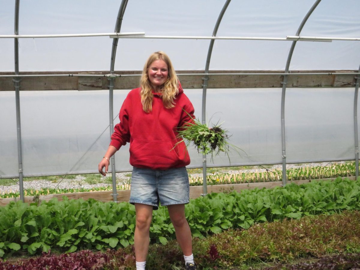 CHS senior Eloise MacDougald is on her forum trip. She enjoyed planting in the greenhouse. 