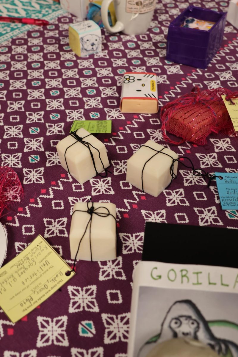 FOS soap, made by CHS students, is sold at Commstock to raise money for next year's science supplies.
