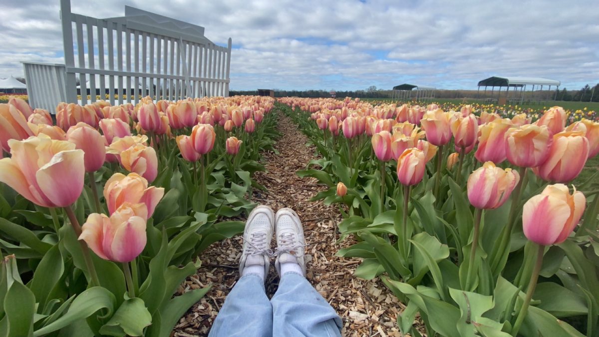 Five Local Spring Activities in Ann Arbor