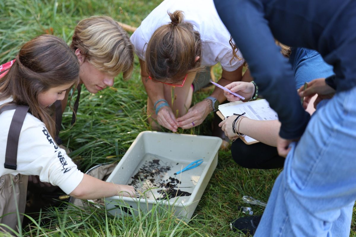 Students gather around their bin of benthics after scooping them up from Traver Creek. As part of the curriculum for Foundations of Science I, students have visited the creek each year.