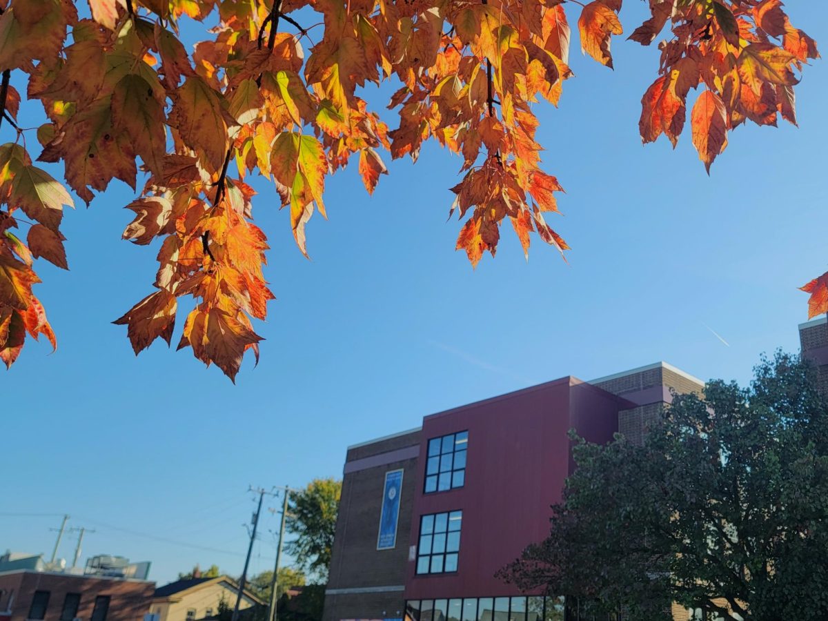 Fall Fun Near Ann Arbor: Art, Haunted Houses and More