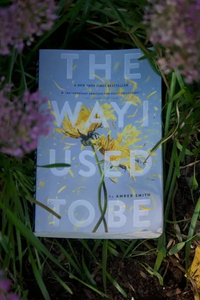 Book Review: The Way I Used To Be