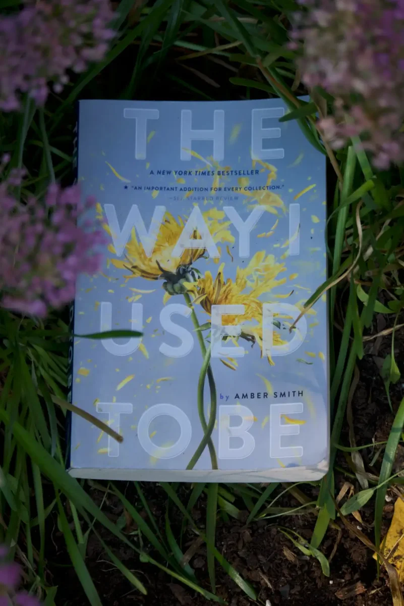 Book Review: The Way I Used To Be