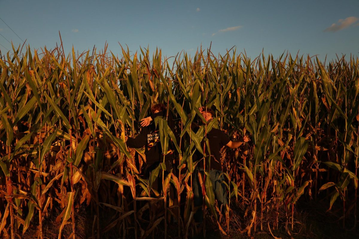 Peter Eldon and Mark Ionides pose in the Blast Corn Maze, about to attempt to solve the maze as a part of their forum day celebrations. For Eldon, it was his first forum day at Community. "Today was definitely up there with some of the better Silvester forum days," Ionides said. "I hope we come back here some time in the future."