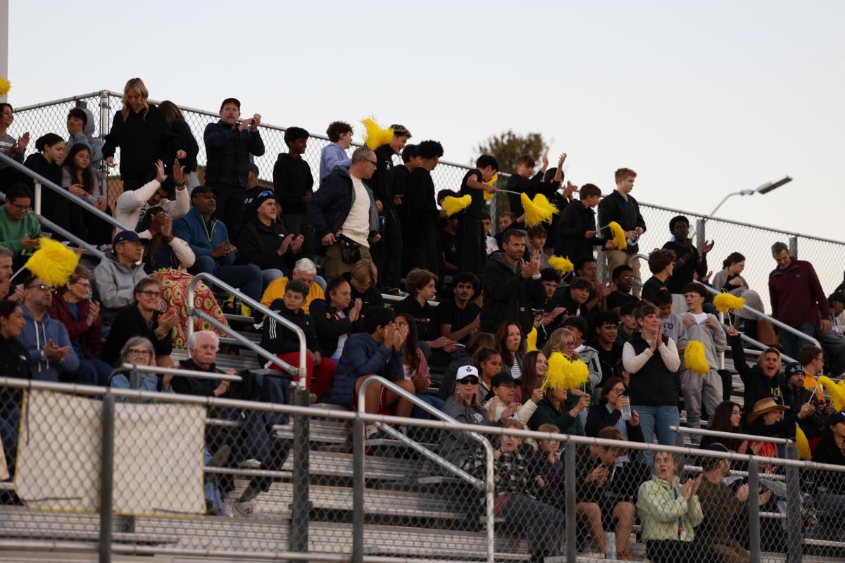 Fans of Huron High School's soccer team show their spirit during their district championship game against Pioneer.