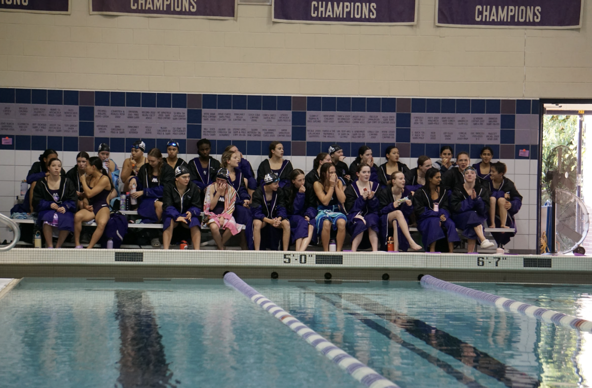 Pioneer swimmers cheer on divers during diving break.
Photo courtesy of Joe Griffith