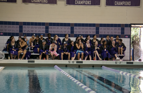 Pioneer swimmers cheer on divers during diving break.
Photo courtesy of Joe Griffith