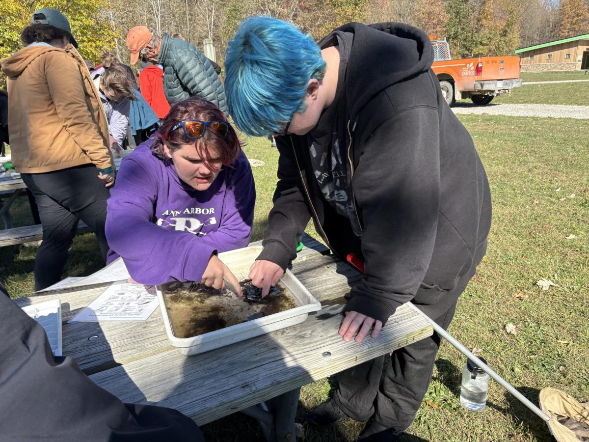 Lu Bliss searches for animals during an ecology trip.