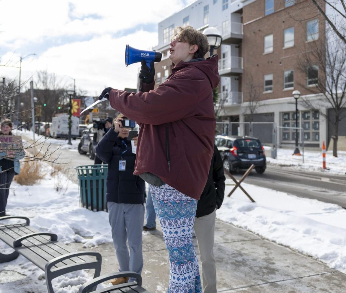 Rosie Meisler stands on a bench between the back lawn of CHS and Kerrytown. Meisler was a main organizer of the high school walkouts taking place on February 4. "I really wanted to do something that would get attention and mobilize as many people possible," Meisler said. "And walkouts are a great way to do that. They draw a lot of attention because it's a disruptance to the normal schedule."