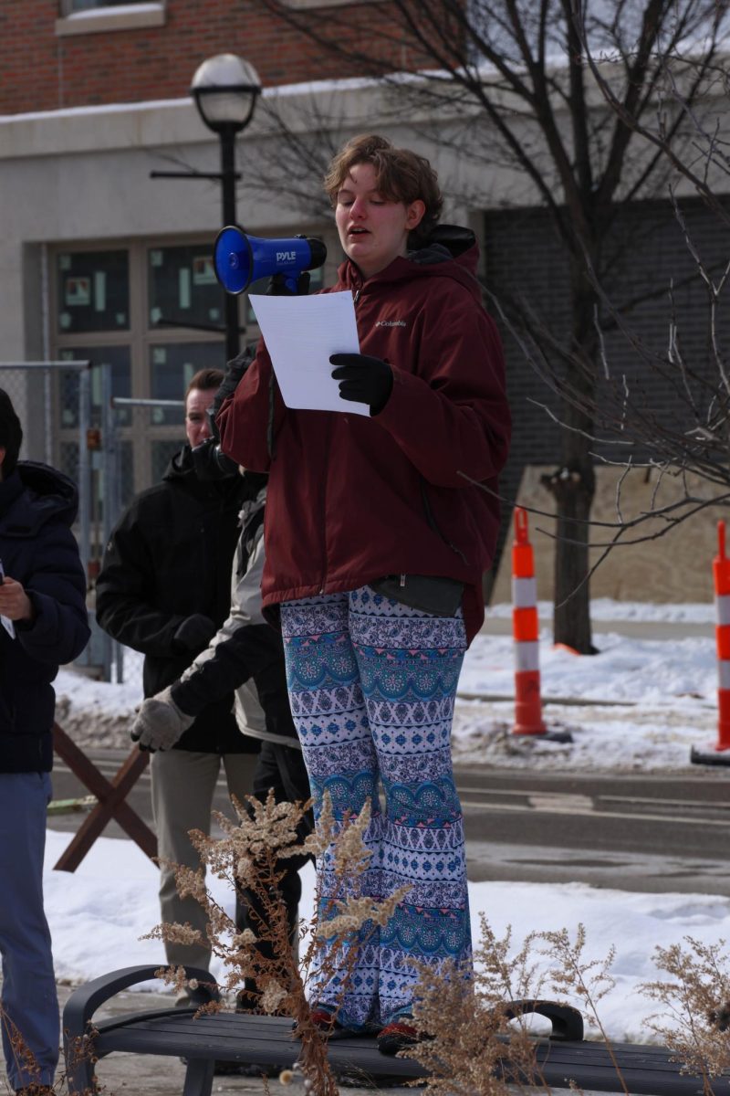 Rosie Meisler stands on a bench between the back lawn of CHS and Kerrytown. Meisler was a main organizer of the high school walkouts taking place on February 4. "I really wanted to do something that would get attention and mobilize as many people possible," Meisler said. "And walkouts are a great way to do that. They draw a lot of attention because it's a disruptance to the normal schedule."