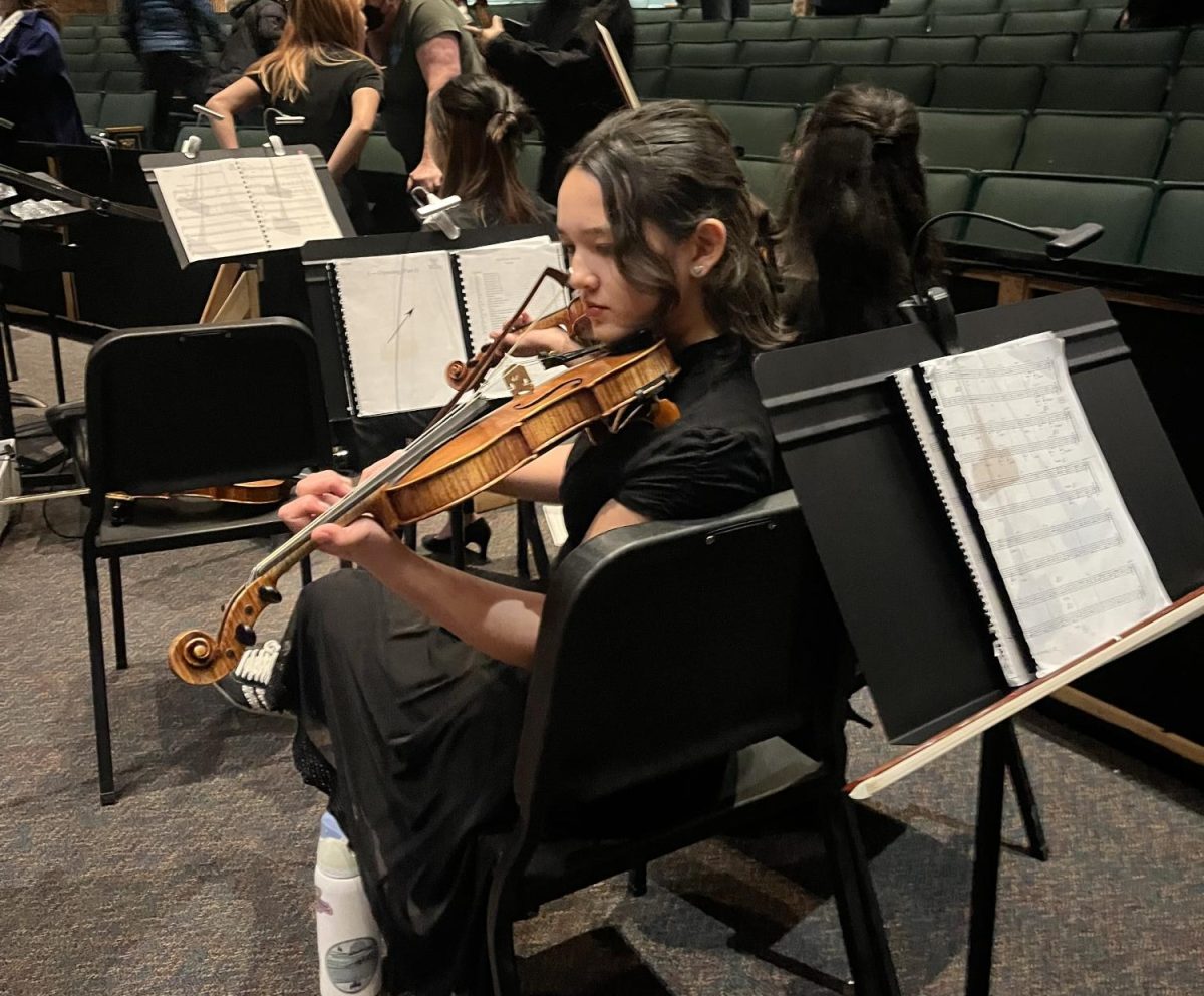 Sophomore Morgan Chen plays the violin in Huron's pit orchestra. This year's winter musical was "Into the Woods," performed by the cast of Huron Players in collaboration with the Huron Music Department. "It was a great opportunity," Chen said. "I hope to do it again in the future."