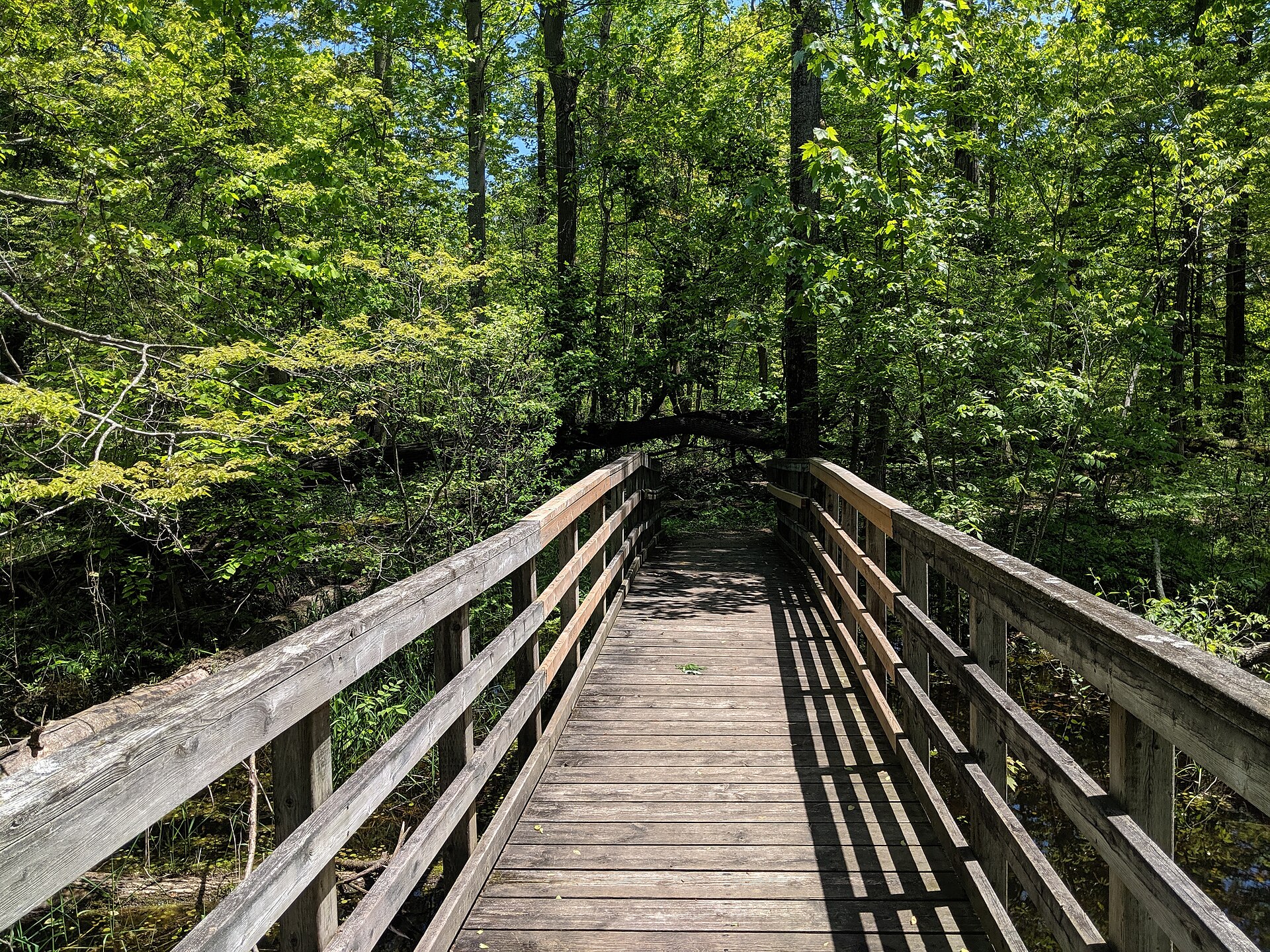 Picture from MyEscapde, CC BY-SA 4.0 , via Wikimedia Commons
