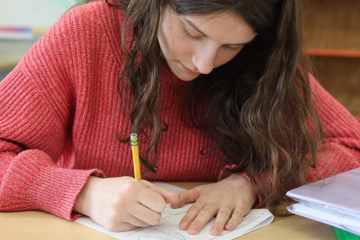 Violet Selcer takes a pre-calculus exam.