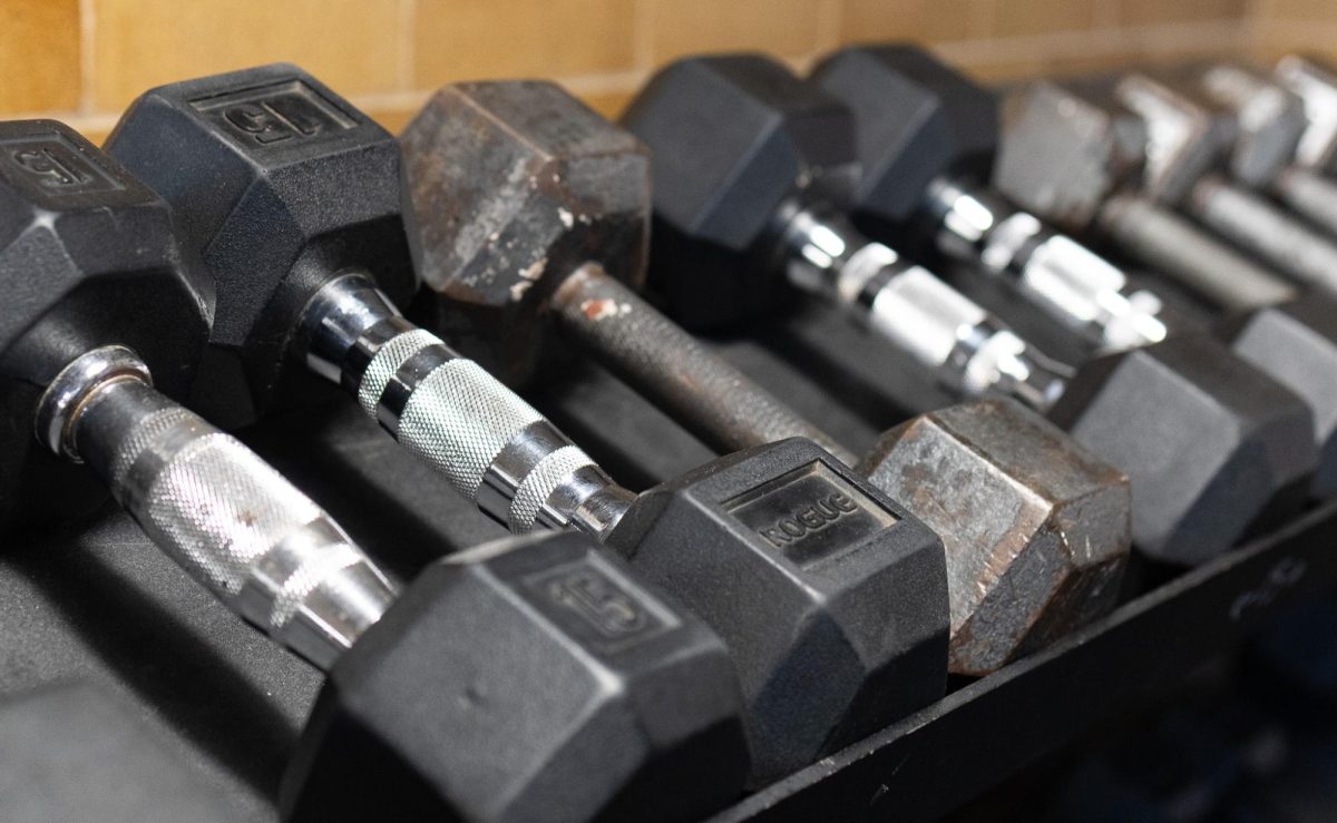 Weights on gym rack 