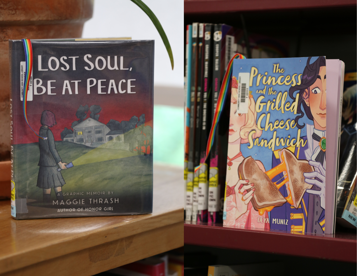 "The Princess and the Grilled Cheese Sandwich" and "Lost Soul, Be at Peace" photographed in the CHS library.