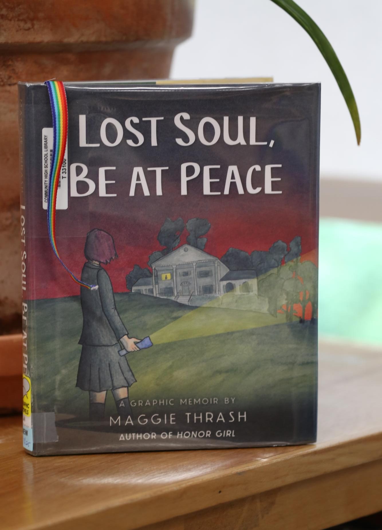 "Lost Soul, Be at Peace" photographed in the CHS library.