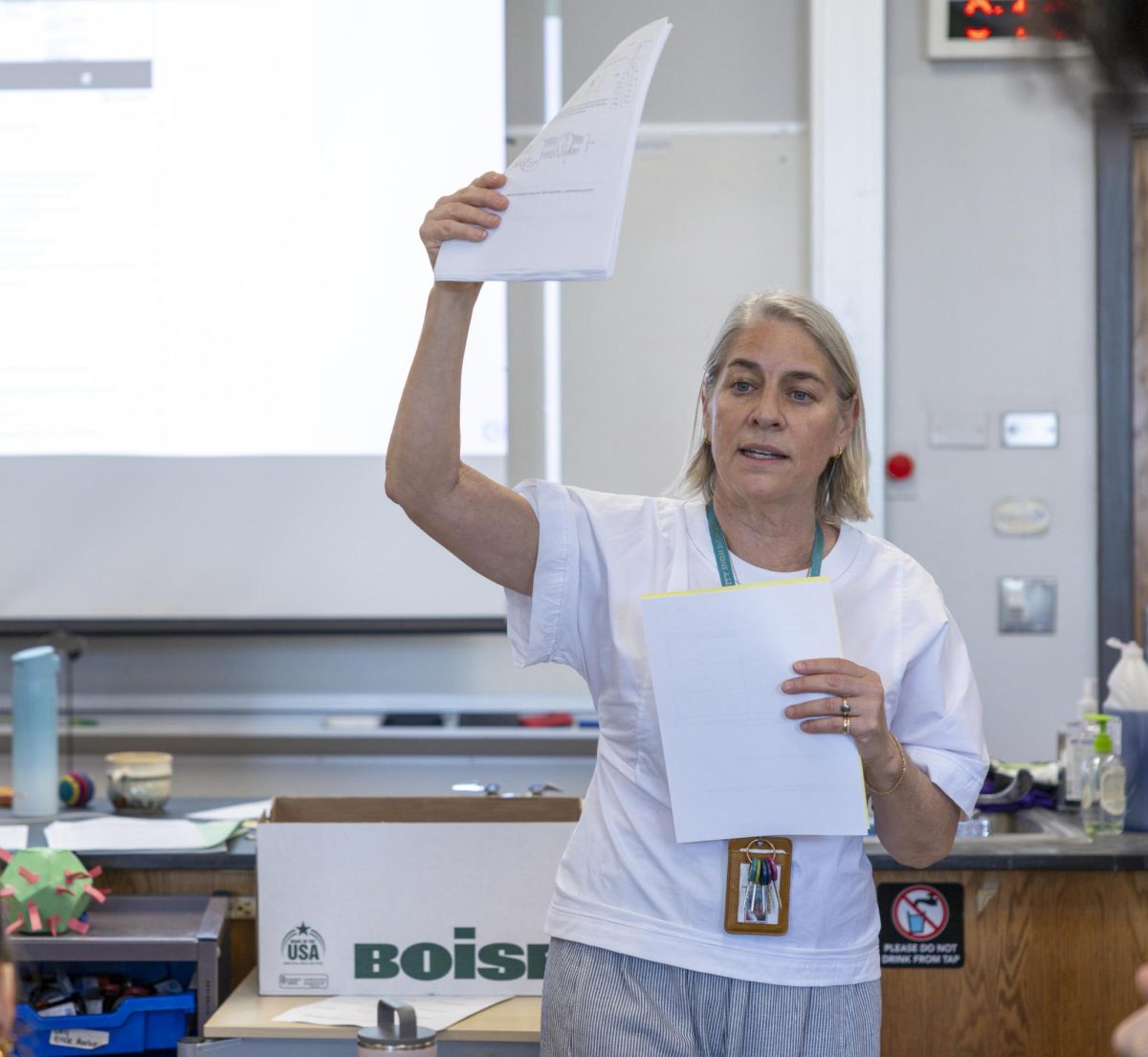 The Career of Liz Stern